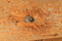 2016-Nodules-on-riser-pipe