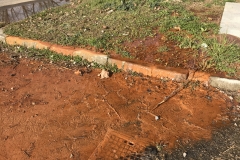 2020-IRB-on-ground